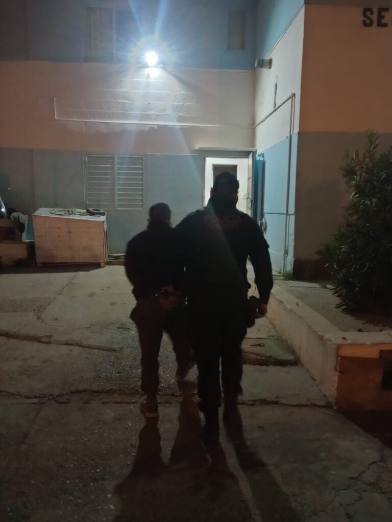 Robo y persecución: intentó escapar con una moto robada y chocó contra un árbol