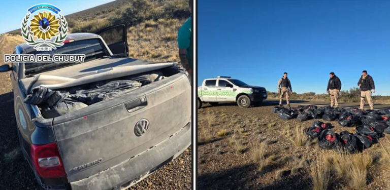 Ruta 3: Interceptaron una camioneta con más de 40 guanacos faenados