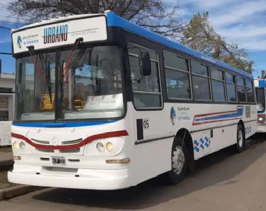 Una mamá denunció que una pasajera del colectivo golpeó a su hijo autista