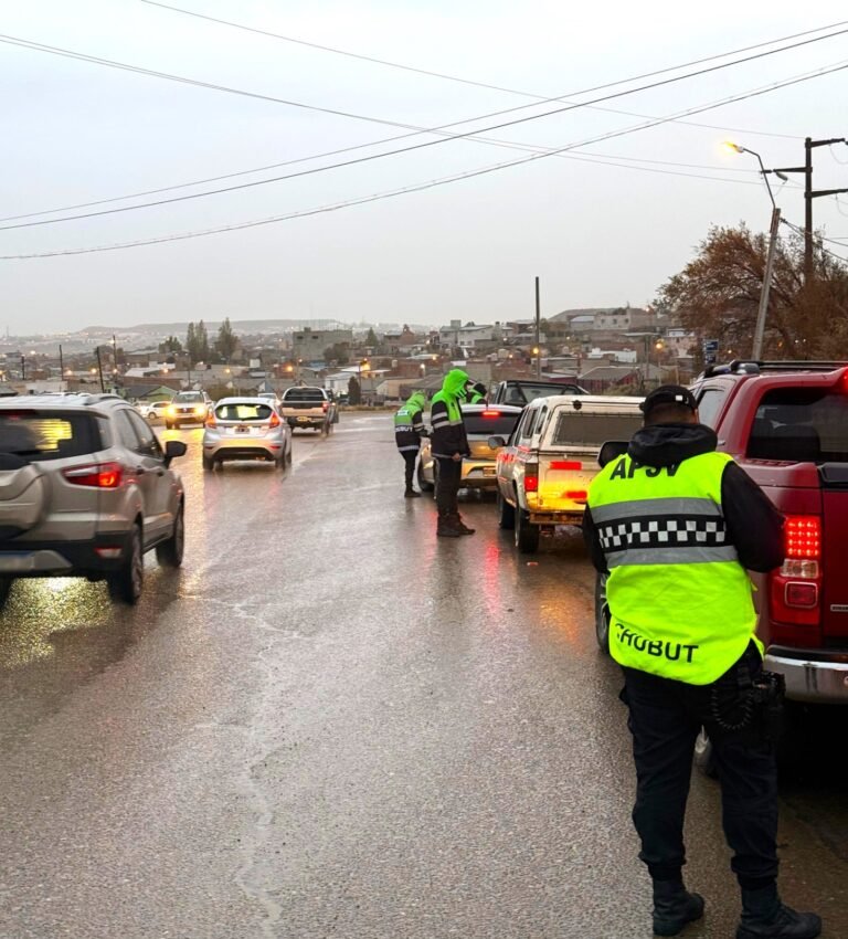 Controlan más de 8.000 vehículos y retiran a 51 conductores de la vía pública 
