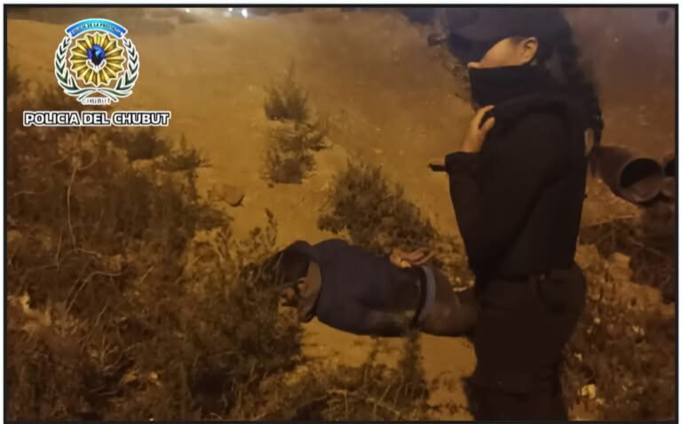 Tenía arresto domiciliario, salió a robar, saltó un alto paredón y podría quedar paralítico