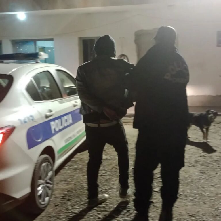 Una mujer retuvo a un delincuente que ingresó a su patio