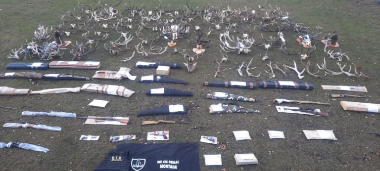 Realizan un megaoperativo en la cordillera para terminar con el abigeato y los cazadores furtivos