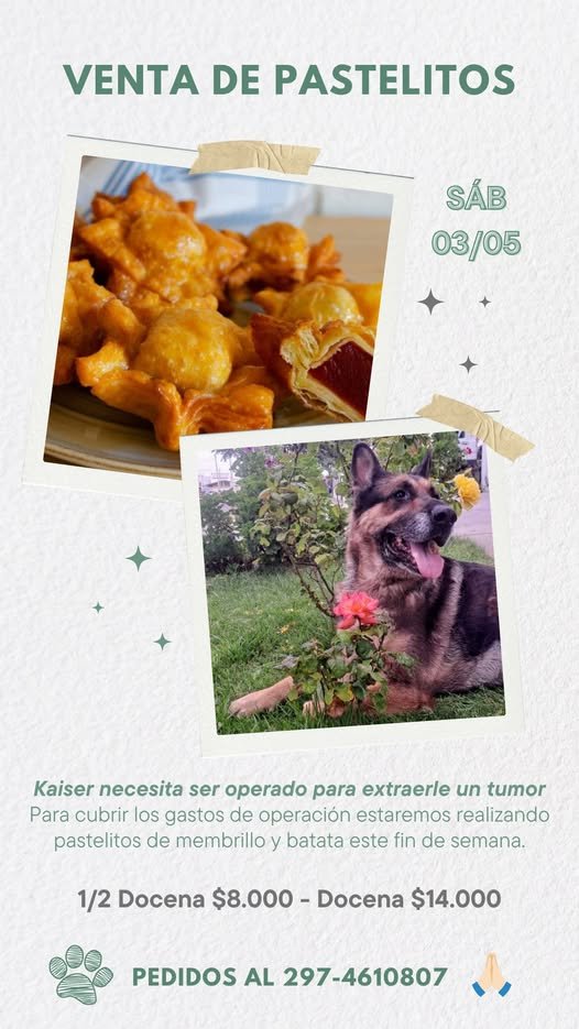 Vende pastelitos caseros para cubrir los gastos médicos de su perro Kaiser