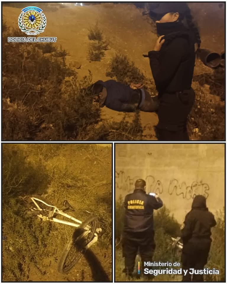 Se metió a un patio, robó una bicicleta y se encondió entre los pastizales