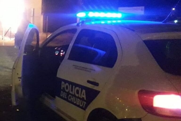 Amenazó a una empleada en una estación de servicio, golpeó a un policía y terminó detenido