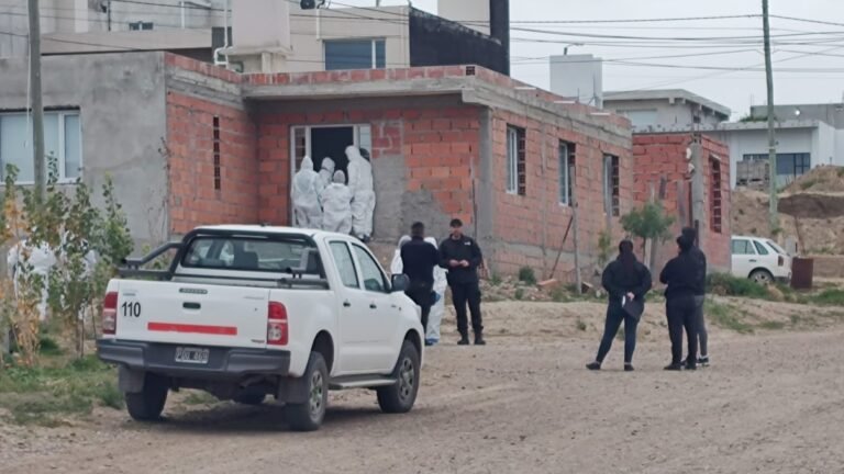Un joven apuñaló a su madre, mató a su novia y luego se quitó la vida