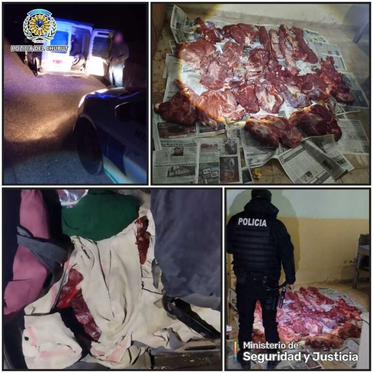 Secuestran carne de guanaco transportada ilegalmente