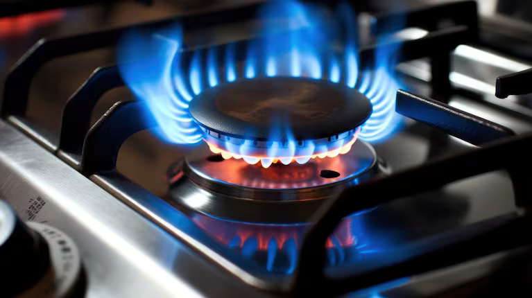 El Gobierno recortó el beneficio de Zona Fría a quienes tienen más de un medidor a su nombre