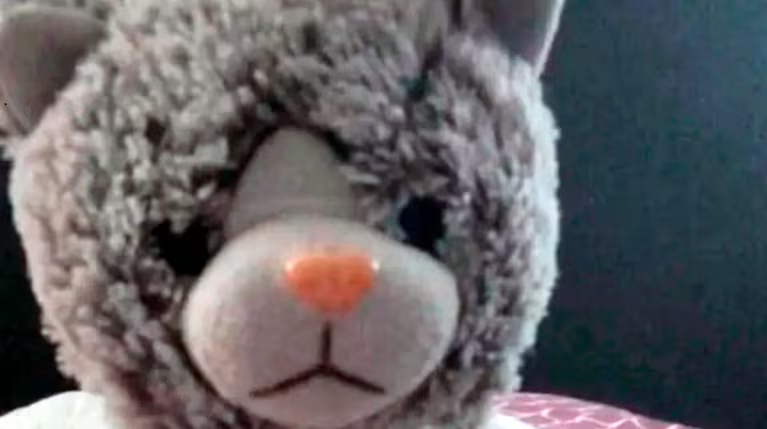 Una familia fue extorsionada para recuperar el peluche de su hijo con autismo: le hicieron pagar $ 200 mil