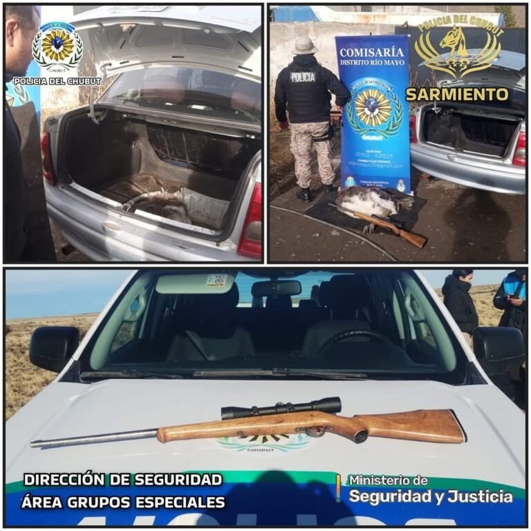 Lo pararon en un control y descubrieron que llevaba un choique, especie en peligro de extinción