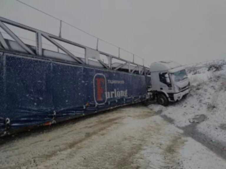 Dos camiones despistaron en Ruta 3 en cuestión de horas por presencia de la nieve