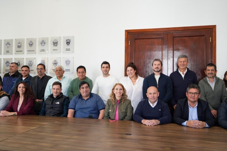 Reunión con intendentes y jefes comunales: se comprometieron a adoptar medidas de alivio fiscal