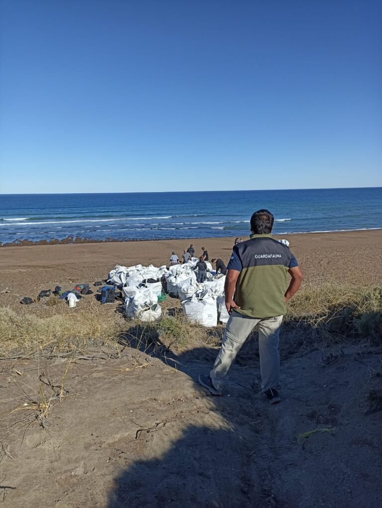 Continúa la limpieza del Área Natural Protegida Península Valdés