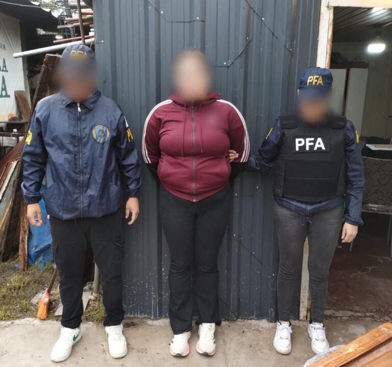 PFA desarticula organización criminal por estafas multimillonarias a la UBA