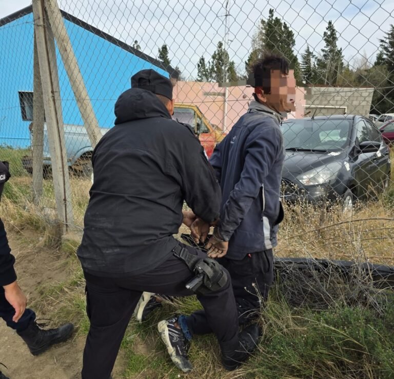 Sustrajo maderas de un comercio, intentó huir pero lo detuvieron