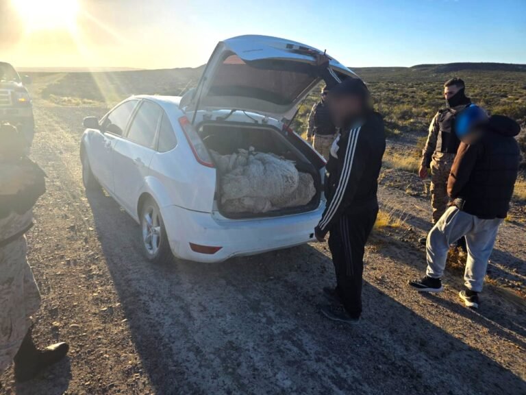 Tras una persecución en Ruta 1, la Policía del Chubut desarticuló una banda delictiva camino a Punta Tombo