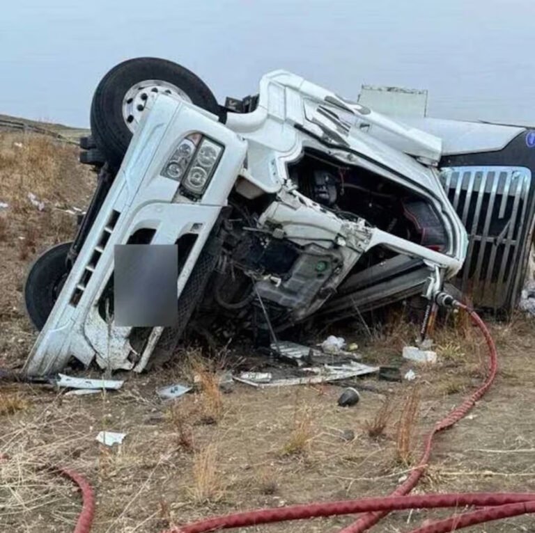 Indignante: un camionero murió tras un accidente y le saquearon los alimentos