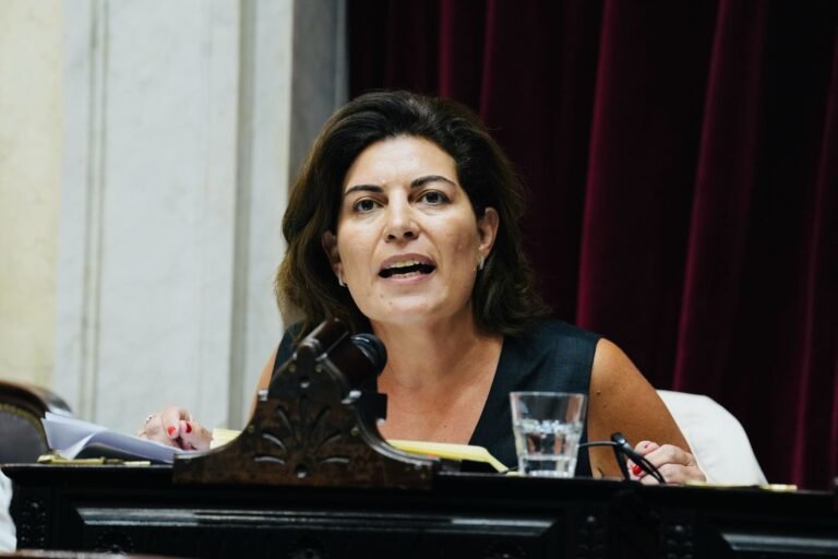 Ana Clara Romero: “Ficha Limpia fracasó porque hay sectores que siguen garantizando la impunidad”