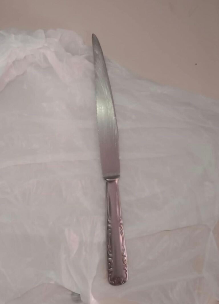 Acusan a un estudiante de quinto grado de ir armado a la escuela