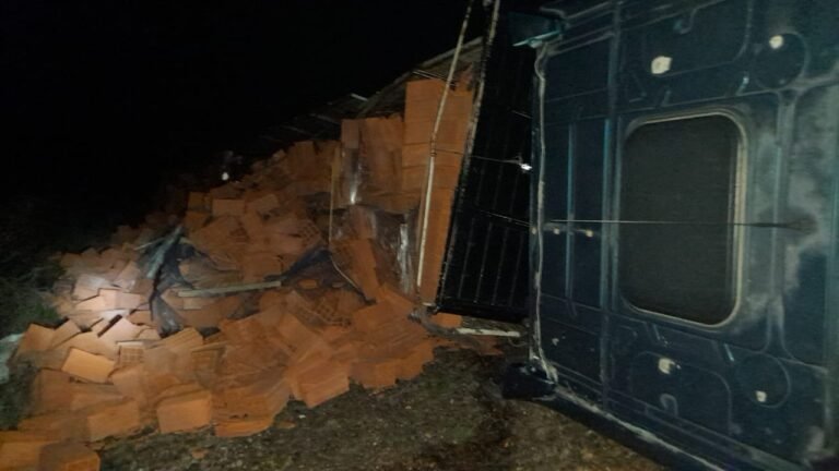 Un camión volcó en Ruta 3 tras quedarse sin aire en los frenos