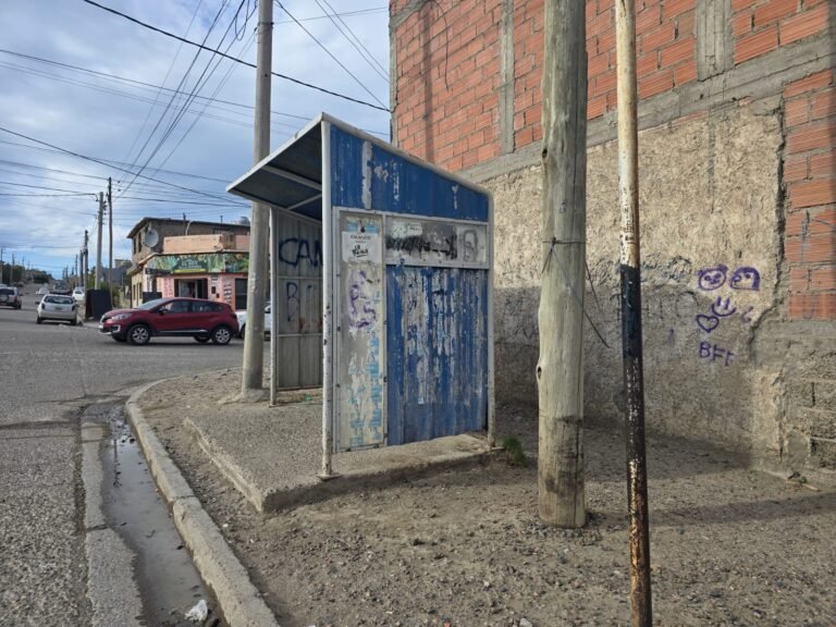 Licitación Transporte Público: se conocerá la propuesta económica de las empresas 