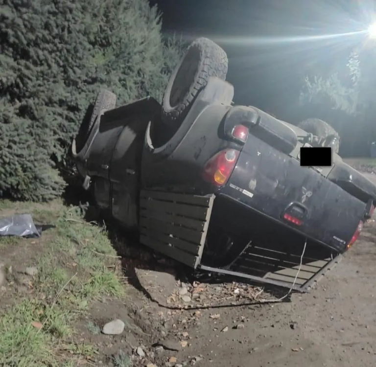 Una joven volcó al intentar esquivar caballos sueltos