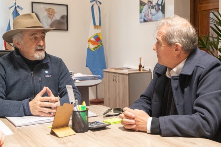 Macharashvili se reunió con el ministro Punta