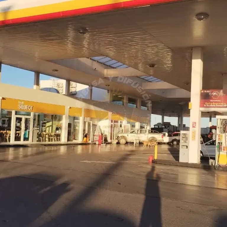 Violento robo: maniató a playeros, se hizo pasar por empleado e intentó abrir la caja fuerte