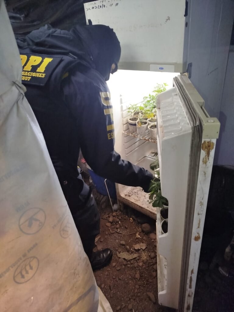 Buscaban un arma de fuego y encontraron marihuana hasta en la heladera