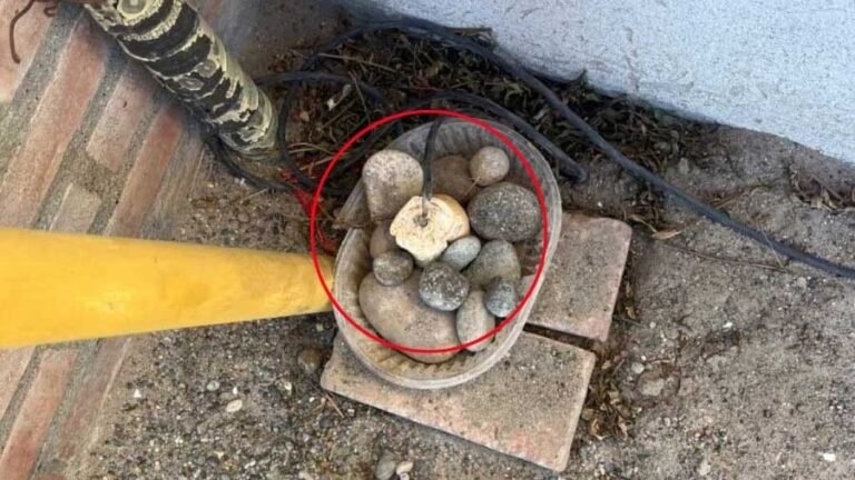 Dejó un pan con un cable para electrocutar perros