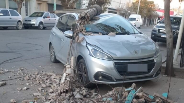 Se le cayó un poste encima cuando intentaba estacionar: salió ilesa