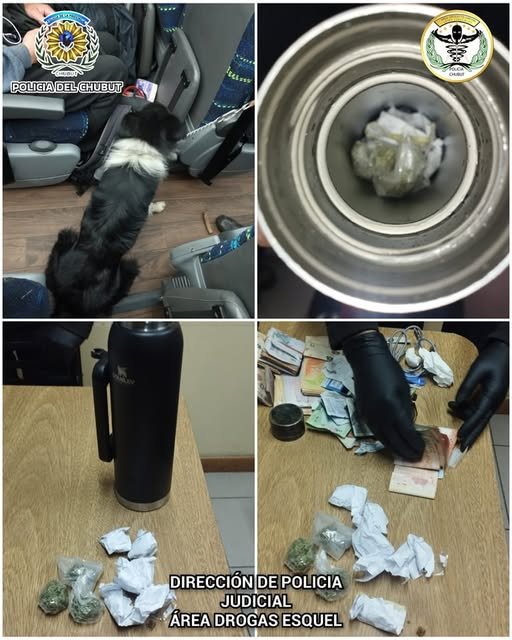 Viajaba con marihuana oculta en un termo y fue detectado por un perro antinarcóticos
