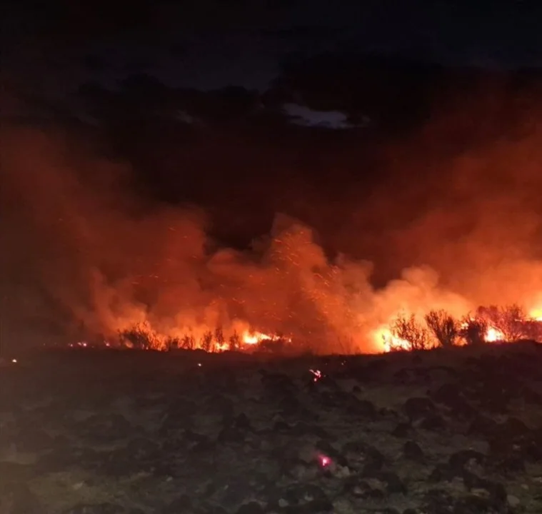 Quemaban residuos forestales y provocaron un incendio en una estancia