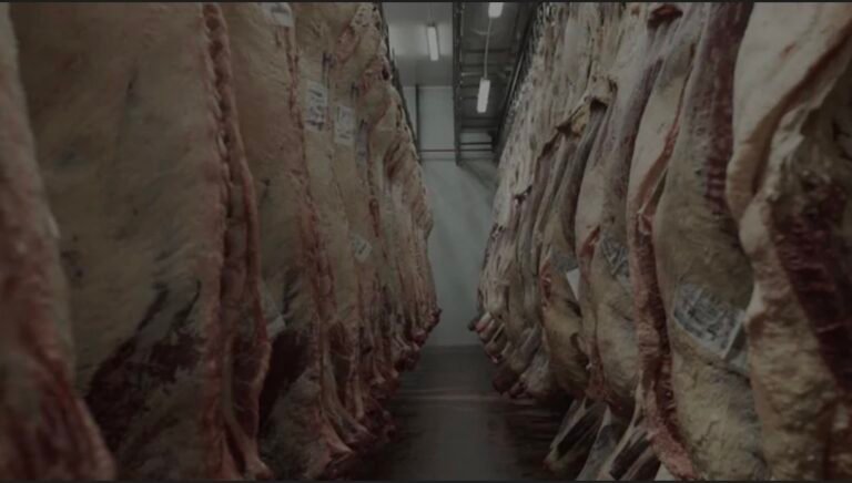 El Gobierno prorrogó por otros 60 días el análisis sobre el ingreso de carne con hueso a la Patagonia