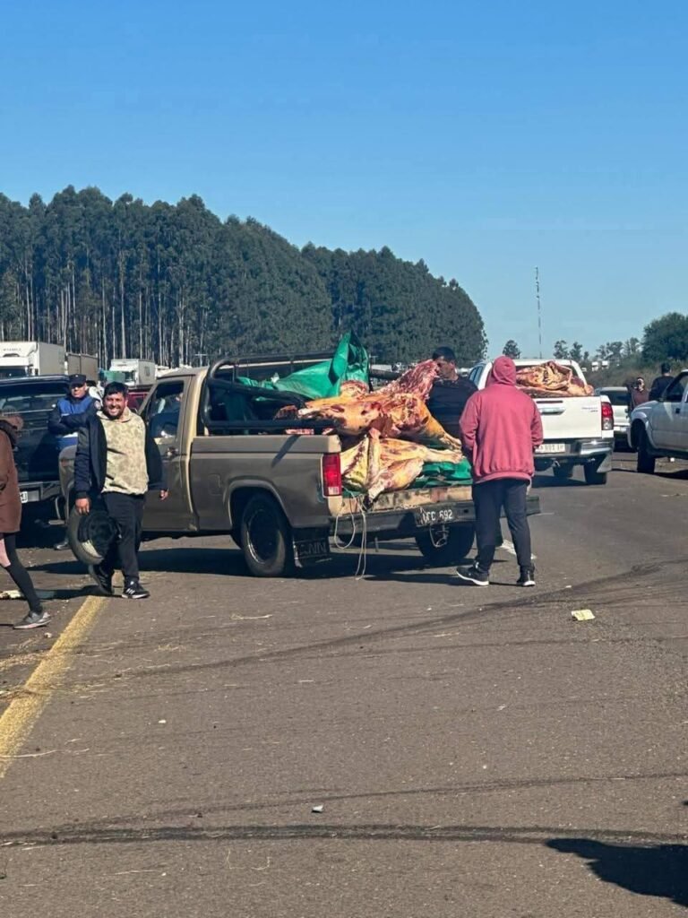 Saquearon un camión cargado de carne que volcó en plena ruta
