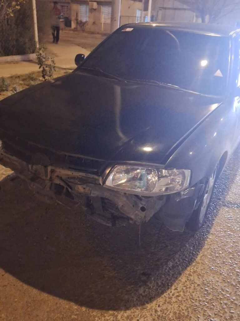 Conductor atropelló a un perrito y lo dejó morir en la avenida Nahuel Huapi