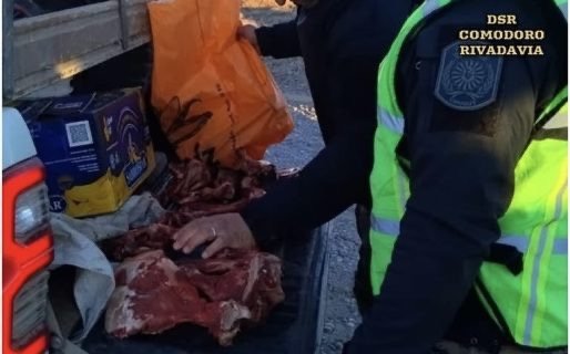 Transportaban carne de guanaco sin permiso y fueron detectados en control