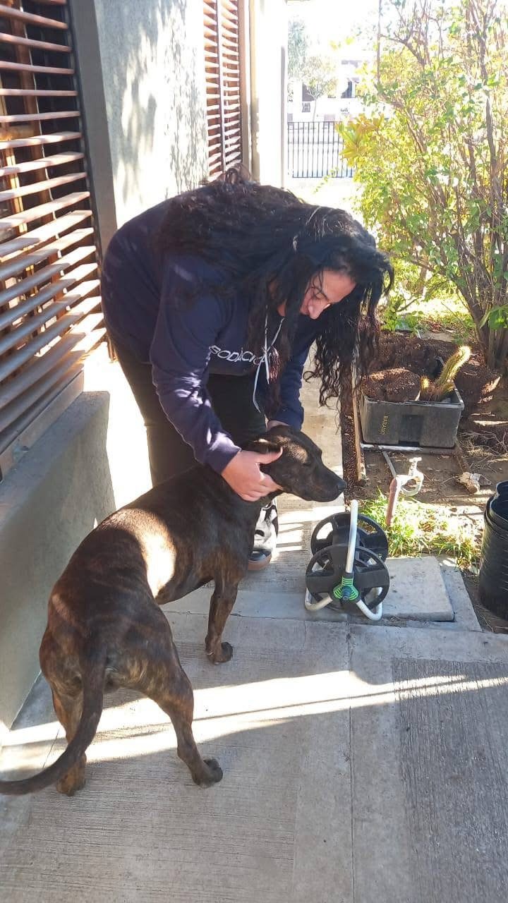 Marmolito ya tiene familia: el perrito de Km 14 fue adoptado y duerme calentito en su nuevo hogar