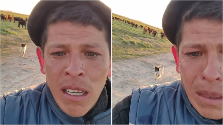 Lo echaron después de 11 años de trabajo como peón rural y el único que lo despidió fue su perro