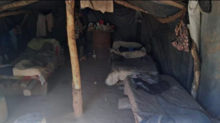 Explotación laboral: trabajadores del carbón dormían sobre pallets, sin baño, y ganaban 150 mil pesos