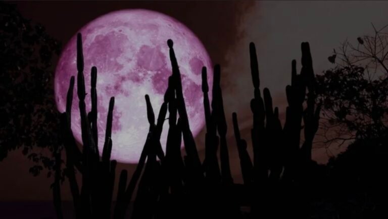 Llega la Luna de Fresa: cuándo se podrá ver y desde qué lugares