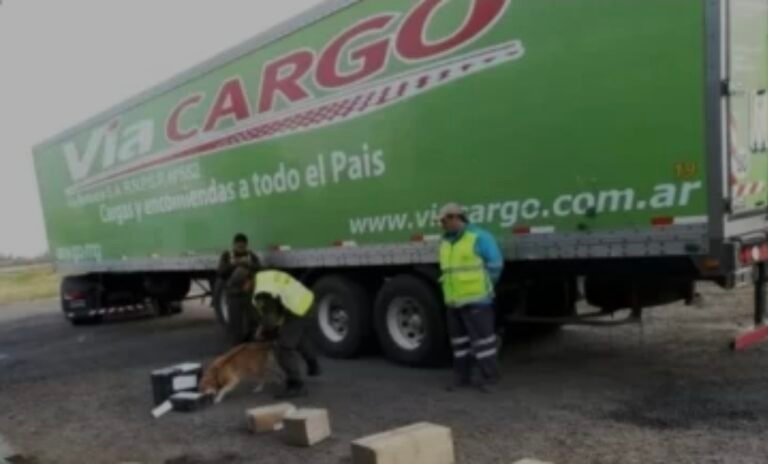 Liberaron a una jubilada que recibió una encomienda con casi un kilo de marihuana