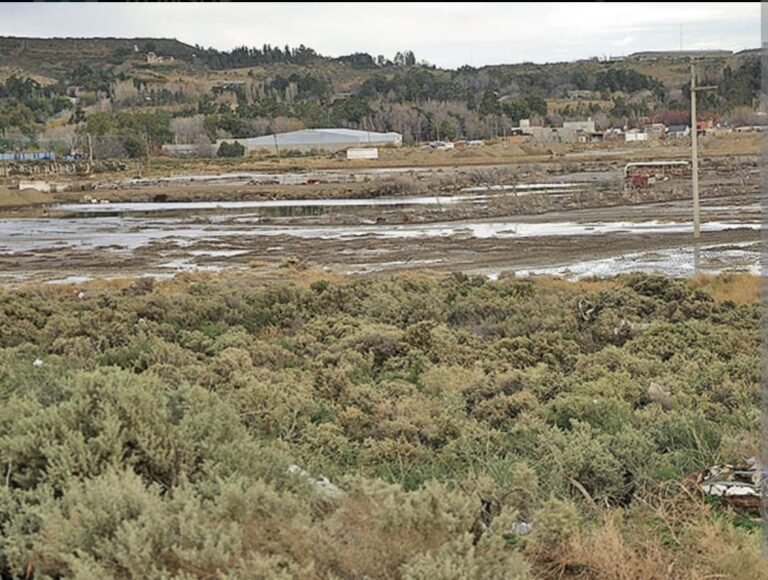 Advierten sobre estafas en la venta de terrenos: “Se aprovechan de la necesidad de las personas”