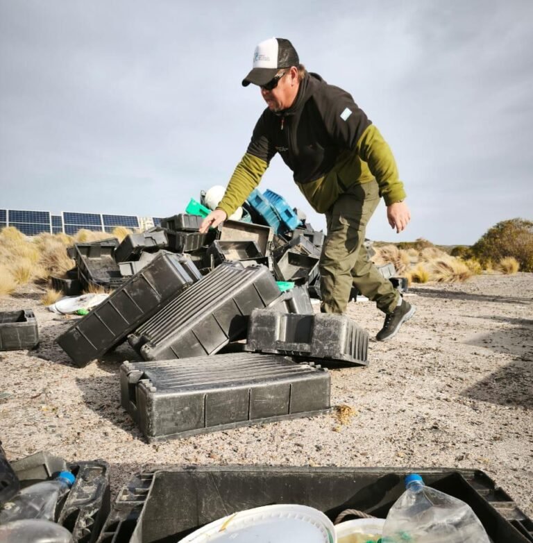 Se concretaron importantes tareas de limpieza en la costa de Punta Tombo
