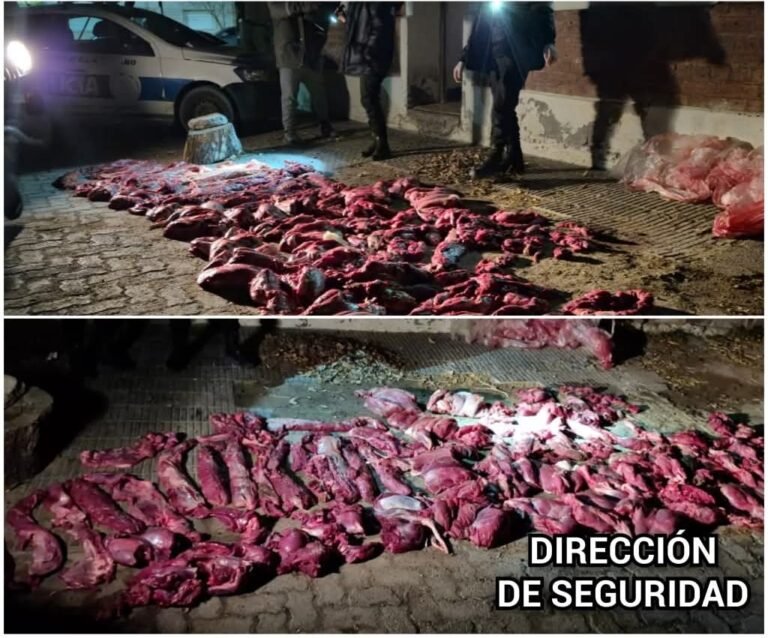 Interceptaron una camioneta durante un patrullaje: llevaba 250 kilos de carne de guanaco