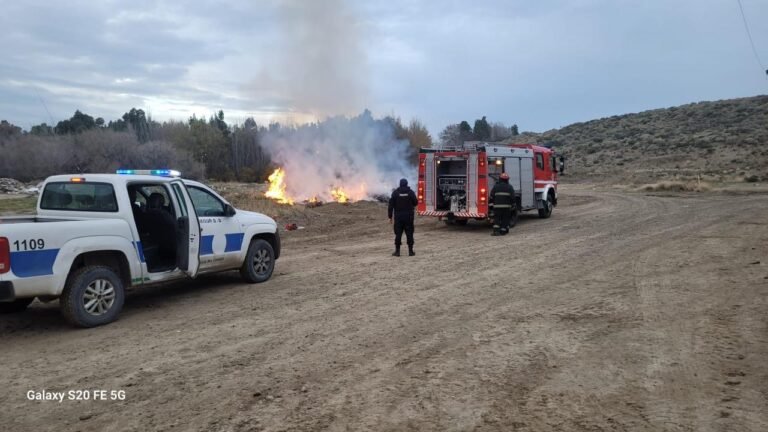 Un incendio de pastizales causó preocupación en el barrio Cordón Forestal