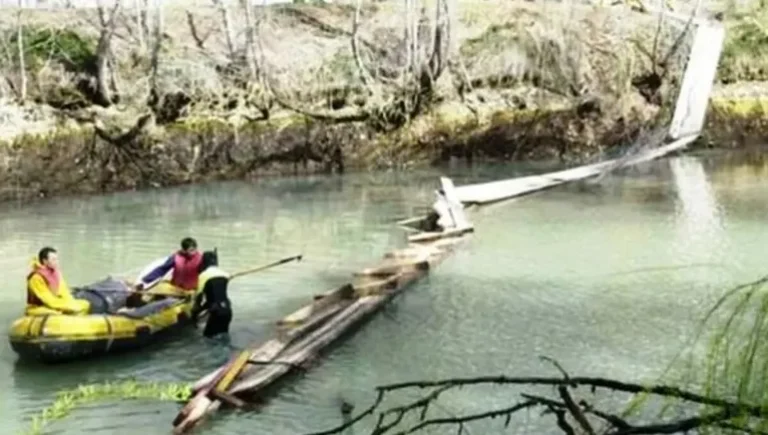 Chubut deberá pagar $4.000 millones por un accidente en el que murieron ocho chicos