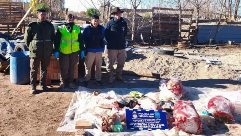 Desmantelan matadero ilegal que vendía carne de caballo a una casa de comidas