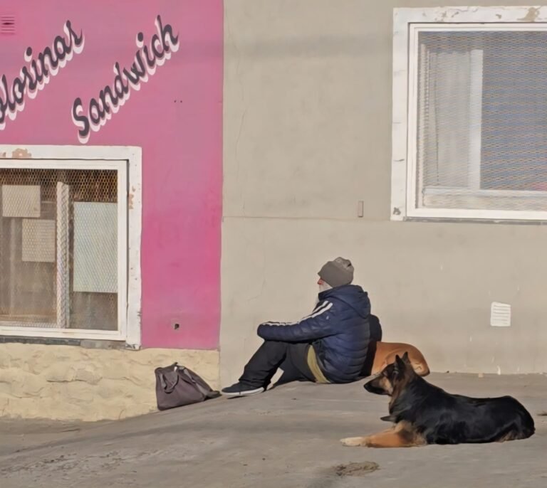 “En 8 años, 12 o 13 ancianos murieron en la calle”